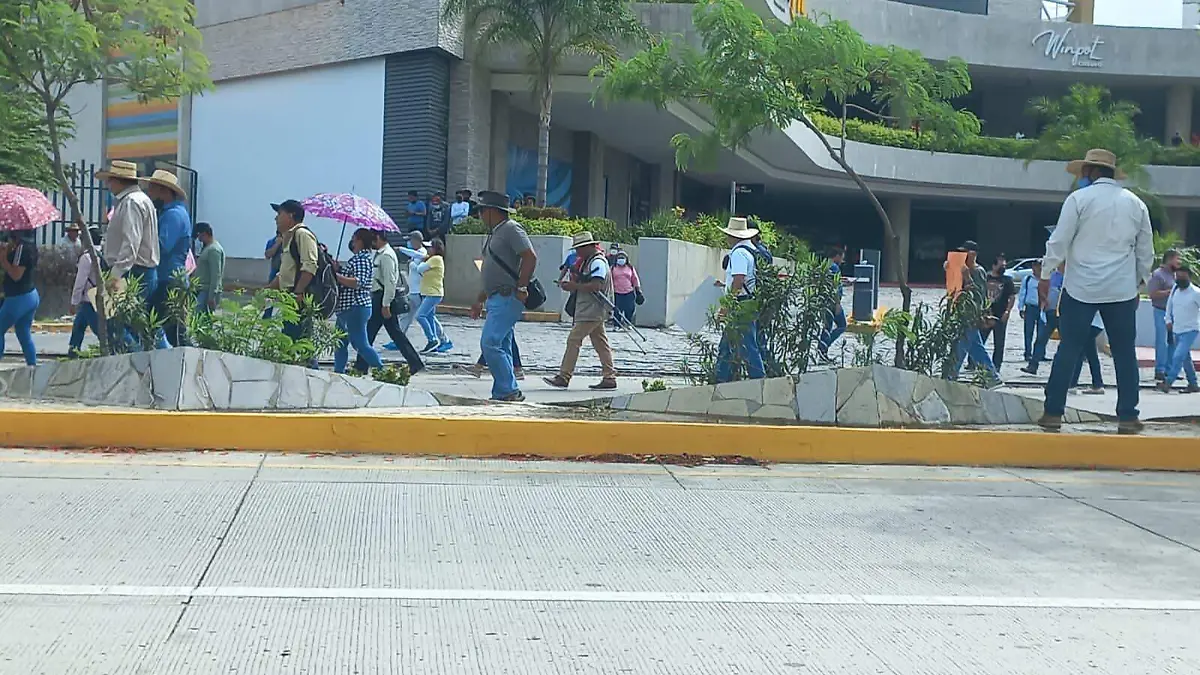 marcha cnte2